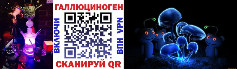 KRAKEN ССЫЛКА  Бердск  Псилоцибиновые грибы MAGIC MUSHROOMS 